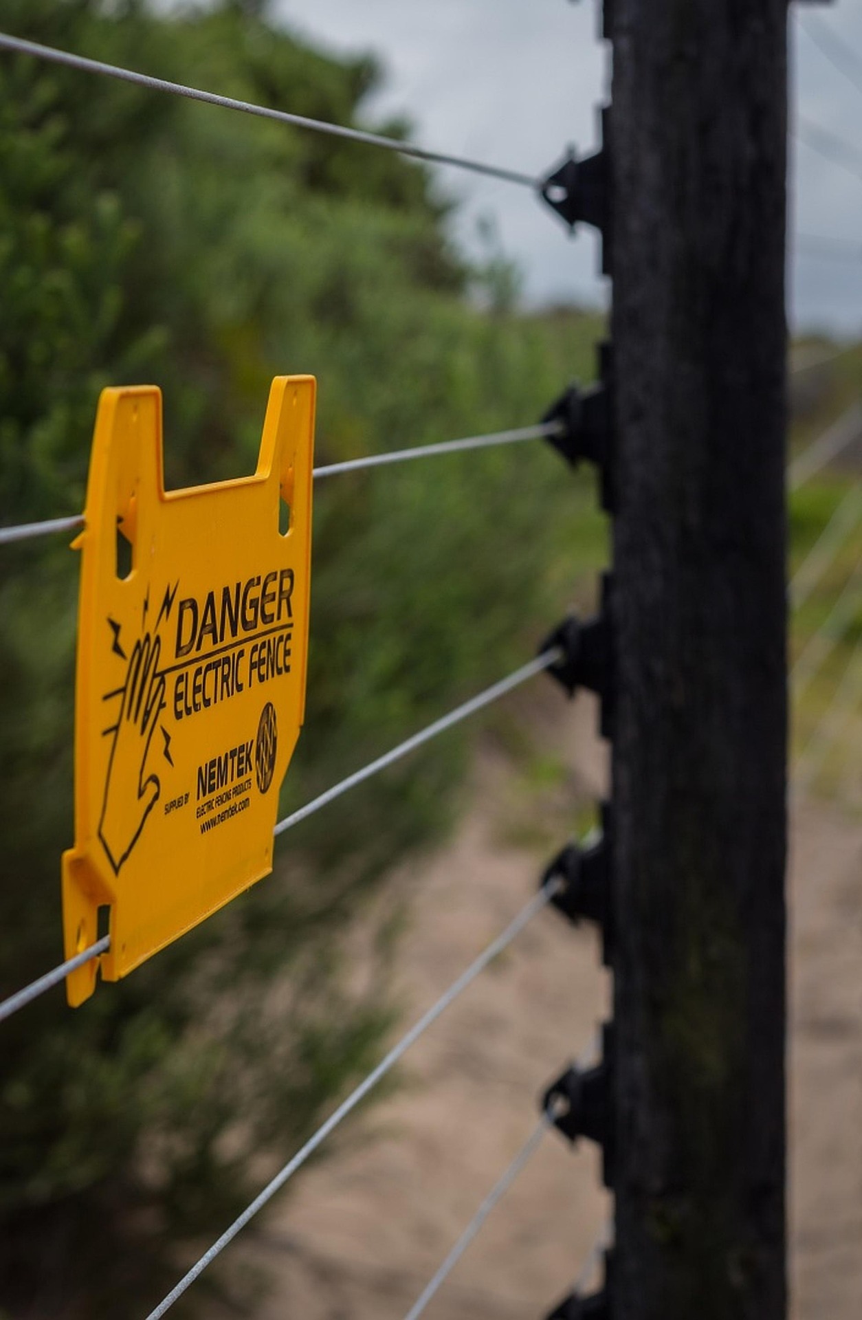 Electric fencing system